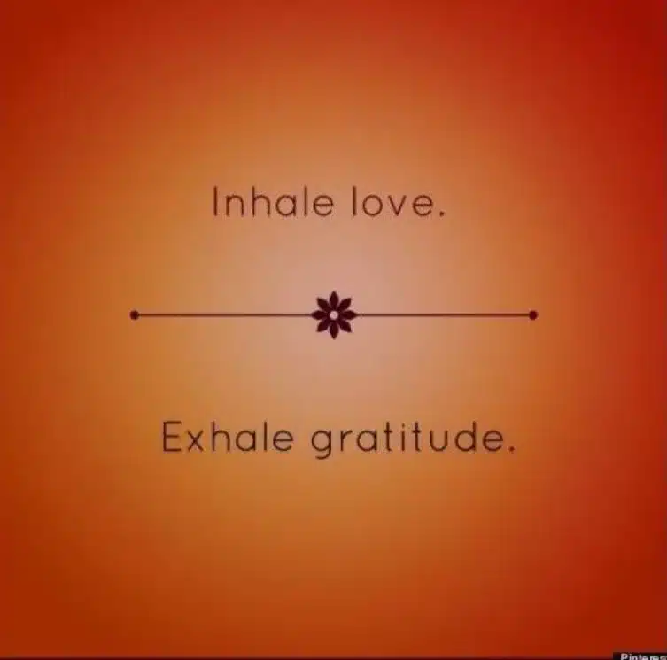 The Dances of Universal Peace | Power Vinyasa Yoga Class in Mystic CT