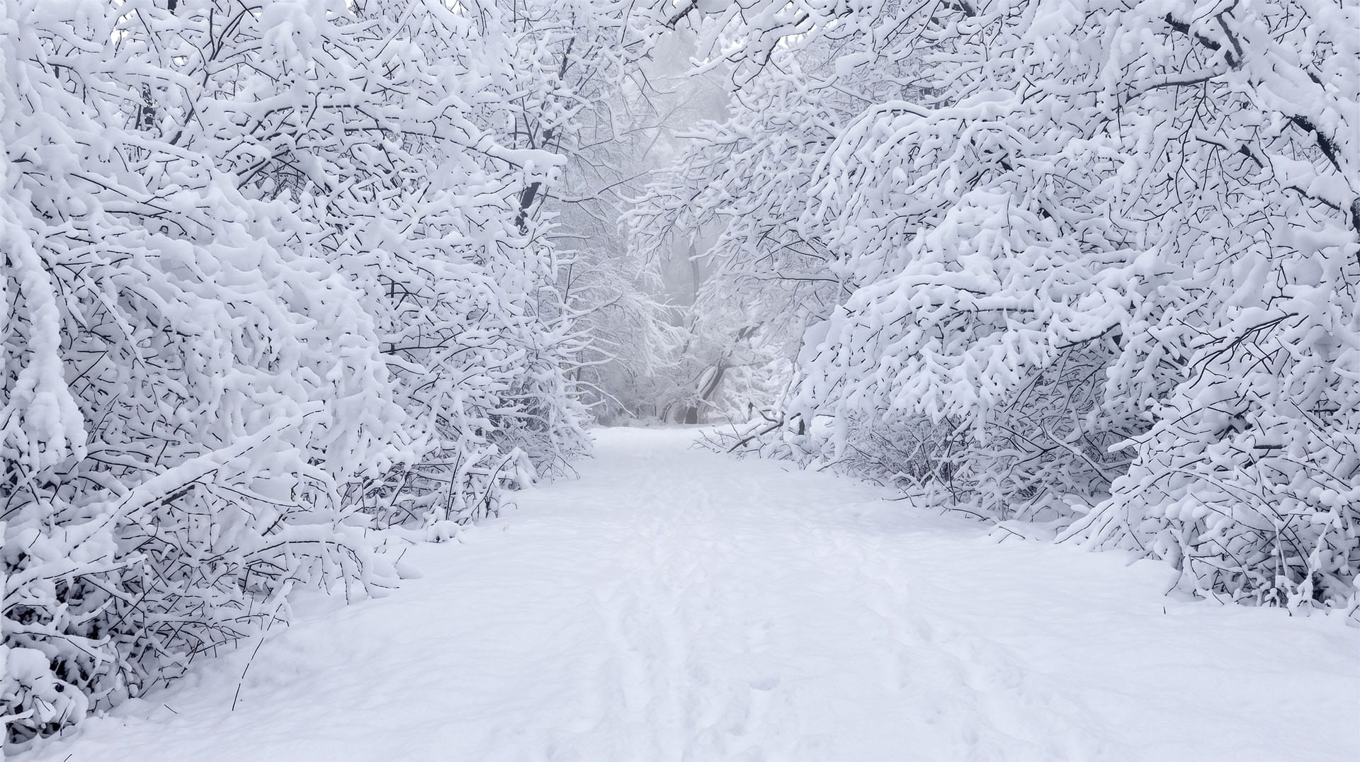 Weather Alert! | Power Vinyasa Yoga Class in Mystic CT